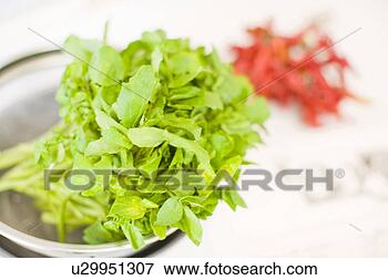 Picture - vegetable and 
chili pepper. 
fotosearch - search 
stock photos, 
pictures, images, 
and photo clipart