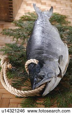 Stock Photo - salted salmon. 
fotosearch - search 
stock photos, 
pictures, images, 
and photo clipart