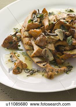 种类一应俱全的图片库\/图像库 - 野, 蘑菇, 嫩煎