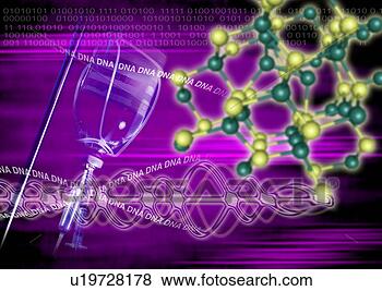 dna strands