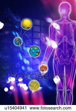 Clipart - human body superimposed 
on a blue background. 
fotosearch - search 
clipart, illustration, 
drawings and vector 
eps graphics images