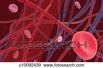 Stock Illustration - close-up of human 
cells. fotosearch 
- search clipart, 
illustration, 
drawings and vector 
eps graphics images