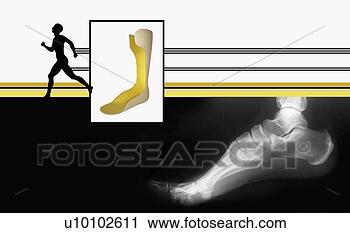 Clipart - close-up of a 
human foot. fotosearch 
- search clipart, 
illustration, 
drawings and vector 
eps graphics images