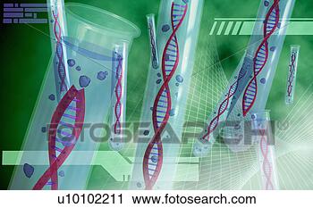 Clipart - dna structures 
in test tubes. 
fotosearch - search 
clipart, illustration, 
drawings and vector 
eps graphics images