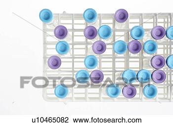 Stock Photo - test tubes in 
rack (directly 
above). fotosearch 
- search stock 
photos, pictures, 
images, and photo 
clipart