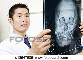 Banco de Imagem - close-up,  macho, 
 doutor,  segurando, 
 raio x. fotosearch 
- busca de fotos, 
imagens e clipart