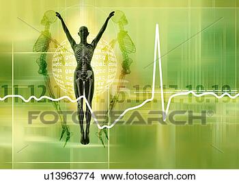 Arquivos de Ilustração - esqueleto,  alta 
tecnologia,  osso, 
 medicina,  hospitalar, 
 raio x. fotosearch 
- busca de ilustrações 
clipeart e desenhos