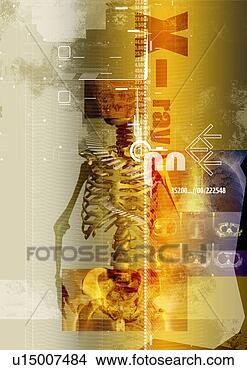 Arquivos de Ilustração - osso,   alta tecnologia, 
  raio x,   medicina, 
  hospitalar. 
fotosearch - busca 
de ilustrações 
clipeart e desenhos