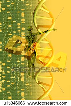 Arquivos de Ilustração - osso,   alta tecnologia, 
  raio x,   medicina, 
  hospitalar. 
fotosearch - busca 
de ilustrações 
clipeart e desenhos