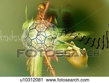 Clipart - saúde,   alta 
tecnologia,   
gene,   medicina, 
  hospitalar, 
  global. fotosearch 
- busca de ilustrações 
clipeart e desenhos