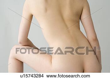 Banco de Imagem - mulher,  parte 
traseira,  vista. 
fotosearch - busca 
de fotos, imagens 
e clipart