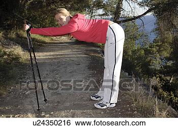 Banco de Imagem - femininas,  nordic, 
 caminhante,  
esticar,  exercício. 
fotosearch - busca 
de fotos, imagens 
e clipart
