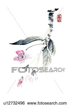Stock Illustration - branch of cherry 
blossoms,  ink 
brush painting, 
 white background. 
fotosearch - search 
clipart, illustration, 
drawings and vector 
eps graphics images