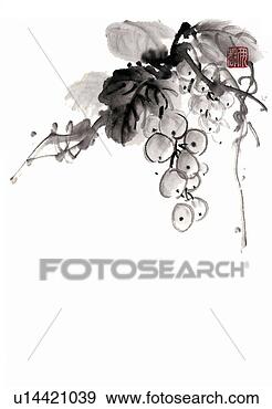 Stock Illustration - clusters of grapes, 
 ink brush painting, 
 white background, 
 cut out. fotosearch 
- search clipart, 
illustration, 
drawings and vector 
eps graphics images