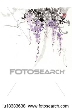 Stock Illustration - japanese wisteria, 
 ink brush painting, 
 white background, 
 cut out. fotosearch 
- search clipart, 
illustration, 
drawings and vector 
eps graphics images