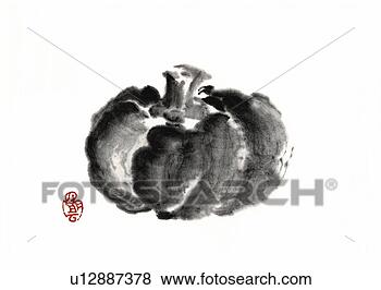 Arquivos de Ilustrações - squash,  tinta, 
 escova,  pintura, 
 branca,  fundo, 
 corte,  saída. 
fotosearch - busca 
de ilustrações 
clipeart e desenhos