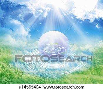 grassland