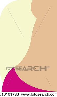 Desenho - meio,  seção, 
 vista,  mulher. 
fotosearch - busca 
de ilustrações 
clipeart e desenhos