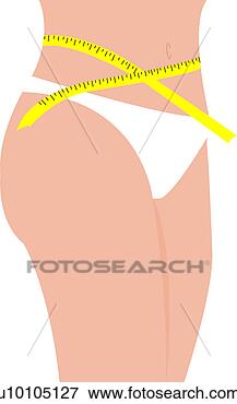 Arquivos de Ilustração - meio,  seção, 
 vista,  mulher, 
 medindo,  dela, 
 cintura. fotosearch 
- busca de ilustrações 
clipeart e desenhos