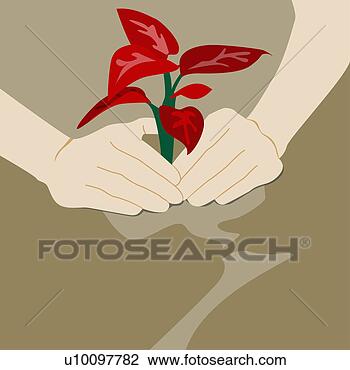 Clip Art - close-up,  pessoa, 
 mão,  plantar, 
 sapling. fotosearch 
- busca de ilustrações 
clipeart e desenhos