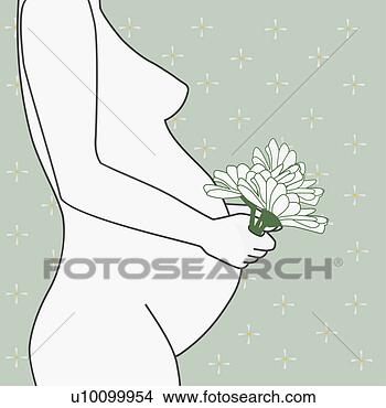 Stock Illustration - mid section view 
of a naked pregnant 
woman holding 
a bunch of flowers. 
fotosearch - search 
clipart, illustration, 
drawings and vector 
eps graphics images