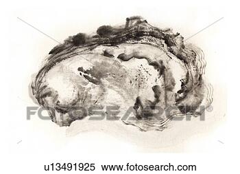 Stock Illustration - oyster, ink brush 
painting. fotosearch 
- search clipart, 
illustration, 
drawings and vector 
eps graphics images