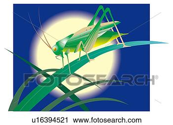 Clipart - gafanhoto,  folha, 
 cheio,  lua. 
fotosearch - busca 
de ilustrações 
clipeart e desenhos