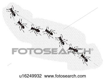 Clip Art - ants in a row, 
high angle view. 
fotosearch - search 
clipart, illustration, 
drawings and vector 
eps graphics images