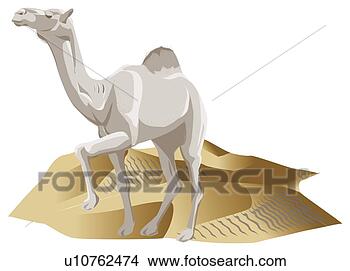 Stock Illustration - camel with one 
hump walking in 
the desert, closing 
eyes, side view. 
fotosearch - search 
clipart, illustration, 
drawings and vector 
eps graphics images