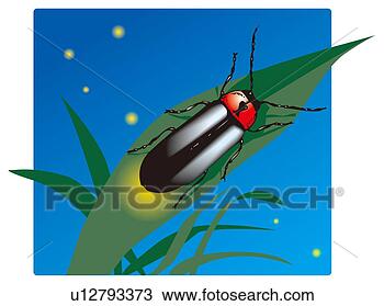 Drawing - firefly on leaf 
at night, front 
view. fotosearch 
- search clipart, 
illustration, 
drawings and vector 
eps graphics images
