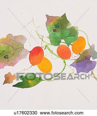 Arquivos de Ilustração - cobra,  gourd, 
 fim,  cima. fotosearch 
- busca de ilustrações 
clipeart e desenhos