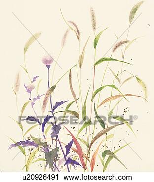 Clipart - summer grasses. 
fotosearch - search 
clipart, illustration, 
drawings and vector 
eps graphics images