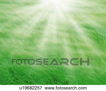 Arquivos de Ilustração - campo,  luz,  
cg,  3d,  composto, 
 lente,  chama. 
fotosearch - busca 
de ilustrações 
clipeart e desenhos