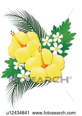 Clipart - amarela,  hibisco, 
 pintura,  ilustração. 
fotosearch - busca 
de ilustrações 
clipeart e desenhos