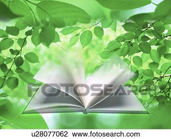 Clip Art - view of pages 
of a book turned 
by breeze (digital 
composite). fotosearch 
- search clipart, 
illustration, 
drawings and vector 
eps graphics images