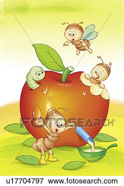 fruit background