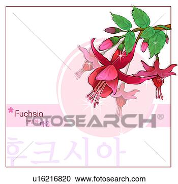 coreanas
