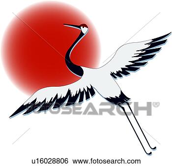 Riku Inka, Second Branch prodigy Bird-crane-vertebrate_~u16028806