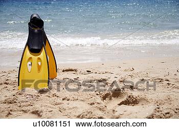 Stock Photography - flippers on the 
beach. fotosearch 
- search stock 
photos, pictures, 
images, and photo 
clipart