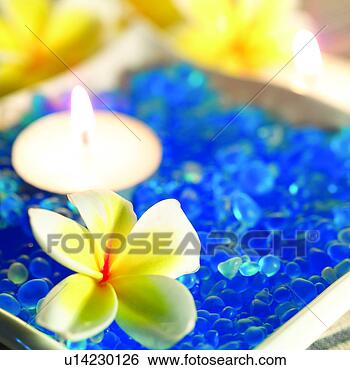 Colecci�n de foto - disfrute,   estilo 
de vida,   mantener, 
  bueno,   salud, 
  gardenia. fotosearch 
- buscar fotos 
e im�genes y foto 
clipart