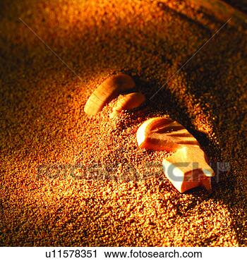 ???? ????? ???????????? - ???????????,  
???,  ???????, 
 ???? ???????, 
 ??????? ???, 
 ??????. fotosearch 
- ???? ?? ??? 
? ???? ? ????? 
? ???? clipart