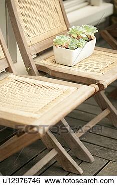 Banco de Imagem - planta,   jardim, 
  jardins,   interior, 
  arte,   decoração. 
fotosearch - busca 
de fotos, imagens 
e clipart