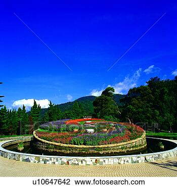 Stock Photo - yangming mountain, 
 country,  chinese, 
 yangmingshan, 
 scenic spot. 
fotosearch - search 
stock photos, 
pictures, images, 
and photo clipart