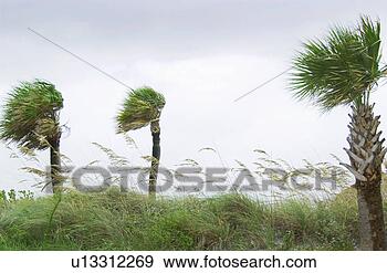 Stock Photograph - hurricane. fotosearch 
- search stock 
photos, pictures, 
images, and photo 
clipart