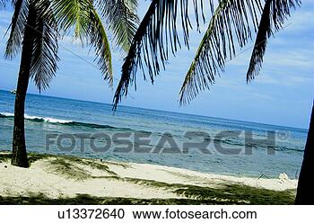 Stock Photography - haiti beachfront. 
fotosearch - search 
stock photos, 
pictures, images, 
and photo clipart