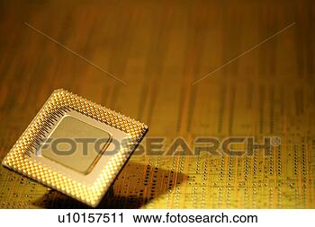 Arquivo de Fotografia - foco,  ainda, 
 vida. fotosearch 
- busca de fotos, 
imagens e clipart