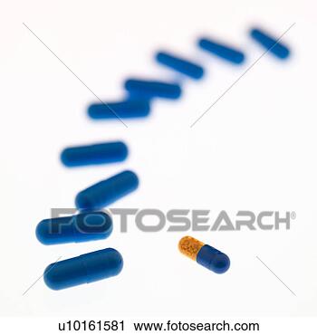 Arquivo de Fotografia - dentro,  dia. 
fotosearch - busca 
de fotos, imagens 
e clipart