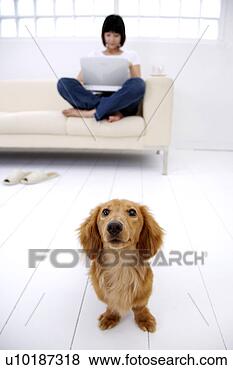 Stock Photo - female and pets, 
one person, one 
young woman only. 
fotosearch - search 
stock photos, 
pictures, images, 
and photo clipart
