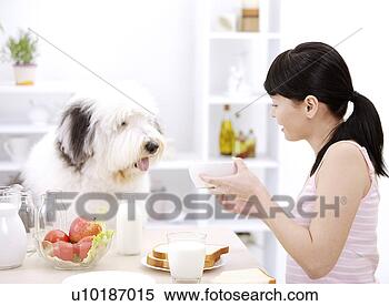 Banco de Imagem - femininas,  animais 
estimação,  um, 
 pessoa,  um, 
 jovem,  mulher, 
 só. fotosearch 
- busca de fotos, 
imagens e clipart