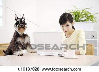 Banco de Imagem - femininas,  animais 
estimação,  um, 
 pessoa,  um, 
 jovem,  mulher, 
 só. fotosearch 
- busca de fotos, 
imagens e clipart